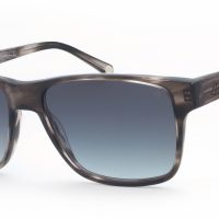 Einstoffen Schwarzfahrer 4355
