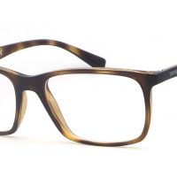 Emporio Armani 3116 5026
